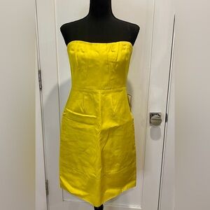 J. Crew Erica Cotton Cady Dress 6 New NWT $275